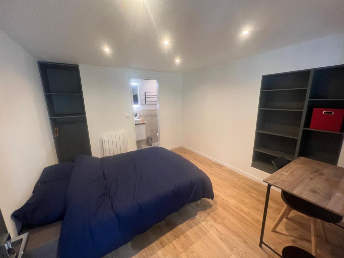 Loft Entier Nancy Centre Et Parking Leilighet Eksteriør bilde